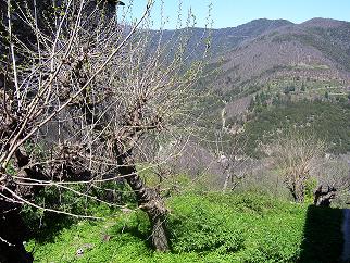 vue de la terrasse